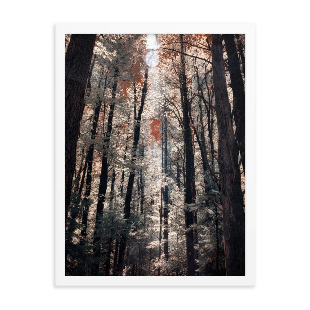 enhanced-matte-paper-framed-poster-(in)-white-18x24-transparent-643b0c9f68433.jpg