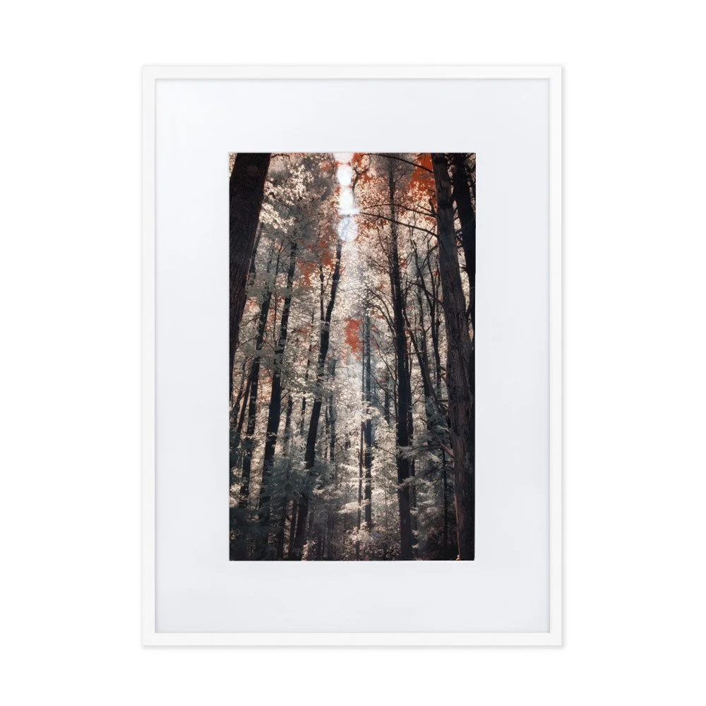 matte-paper-framed-poster-with-mat-(cm)-white-50x70-cm-transparent-643b0e91ce019.jpg