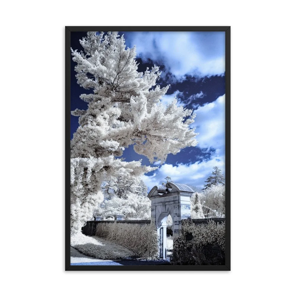 enhanced-matte-paper-framed-poster-(in)-black-24x36-transparent-643b18fd2e2a7.jpg