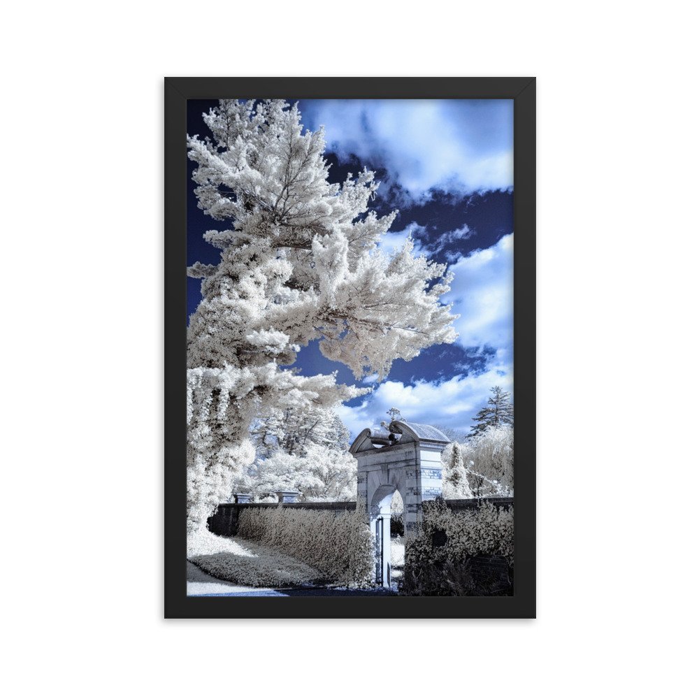enhanced-matte-paper-framed-poster-(in)-black-12x18-transparent-643b18fd30d3c.jpg