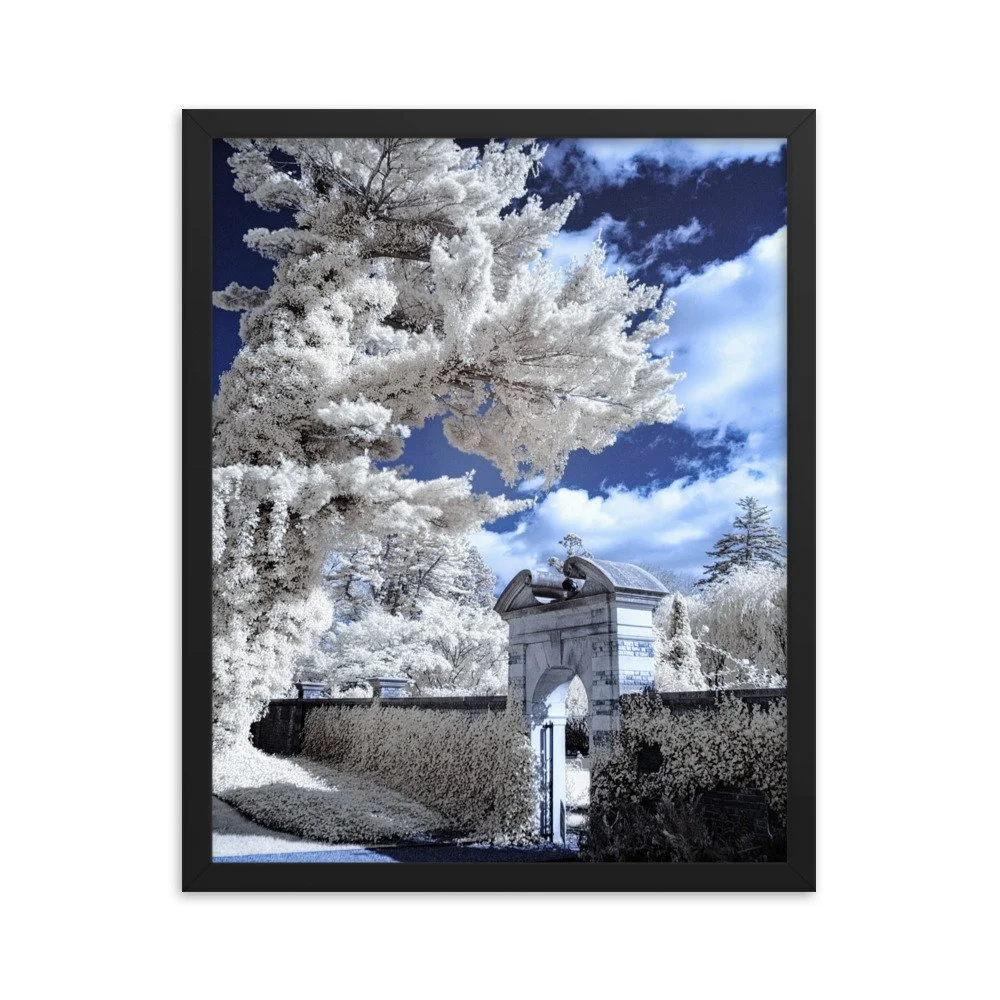 enhanced-matte-paper-framed-poster-(in)-black-16x20-transparent-643b18fd30df7.jpg