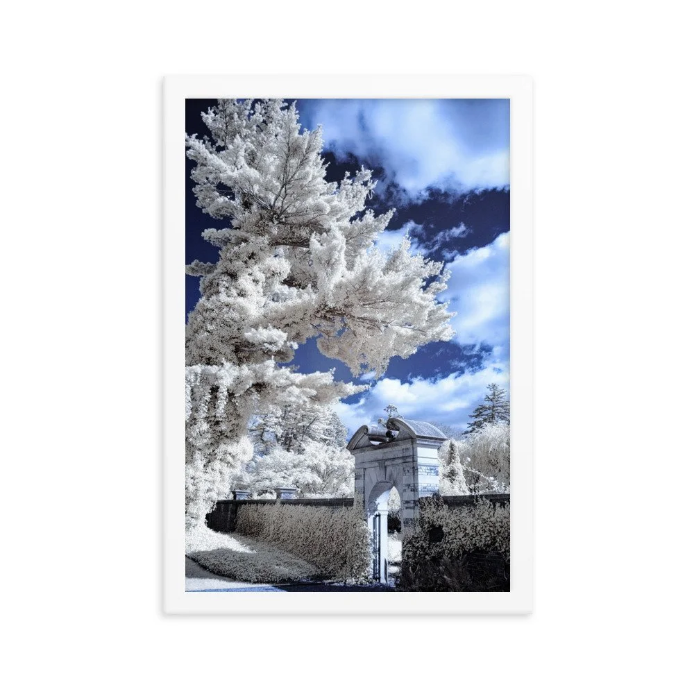enhanced-matte-paper-framed-poster-(in)-white-12x18-transparent-643b18fd30f31.jpg