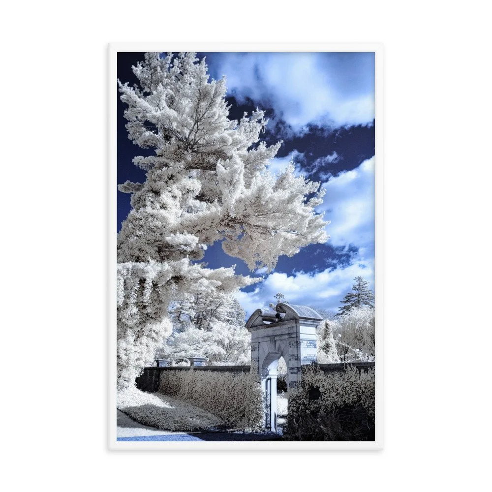 enhanced-matte-paper-framed-poster-(in)-white-24x36-transparent-643b18fd310a2.jpg