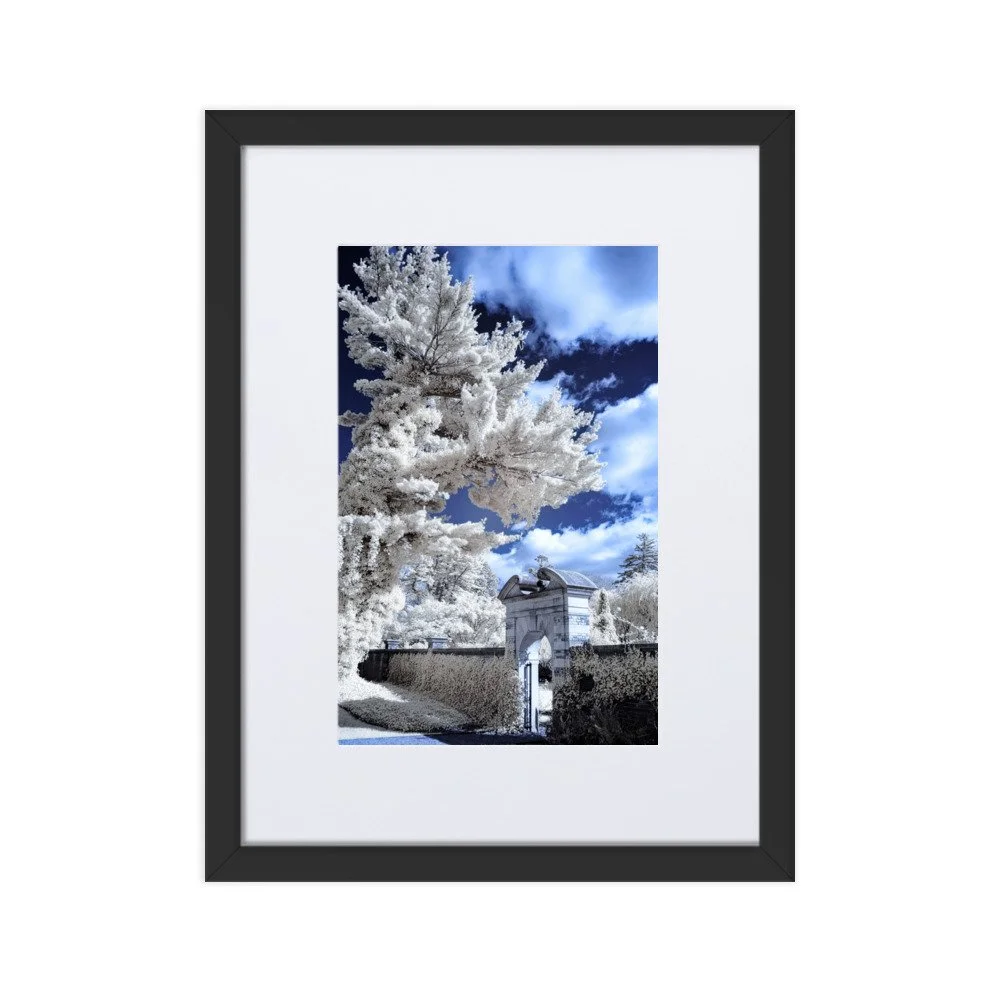 matte-paper-framed-poster-with-mat-(cm)-black-30x40-cm-transparent-643b19291f944.jpg