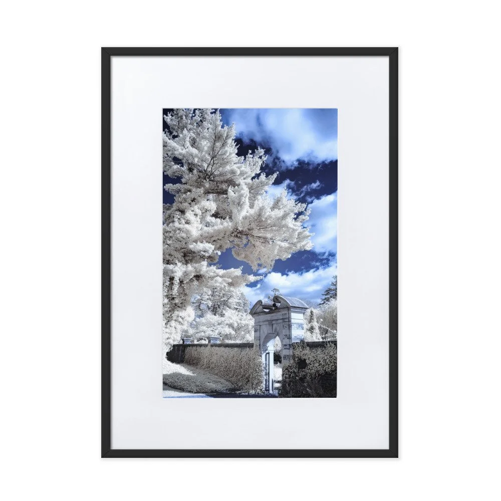 matte-paper-framed-poster-with-mat-(cm)-black-50x70-cm-transparent-643b19291f9e1.jpg