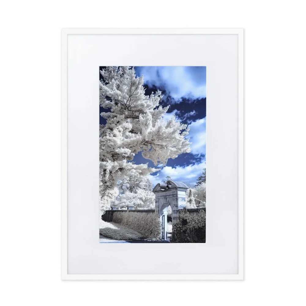 matte-paper-framed-poster-with-mat-(cm)-white-50x70-cm-transparent-643b19291fb04.jpg