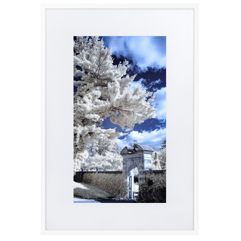 matte-paper-framed-poster-with-mat-(cm)-white-61x91-cm-transparent-643b19291fb7c.jpg