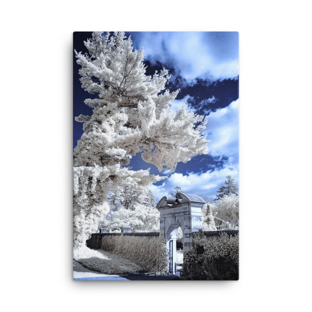 canvas-(in)-24x36-wall-643b1a85daf60.jpg