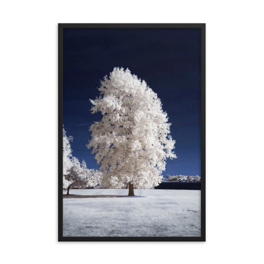 enhanced-matte-paper-framed-poster-(in)-black-24x36-transparent-643b659a54409.jpg