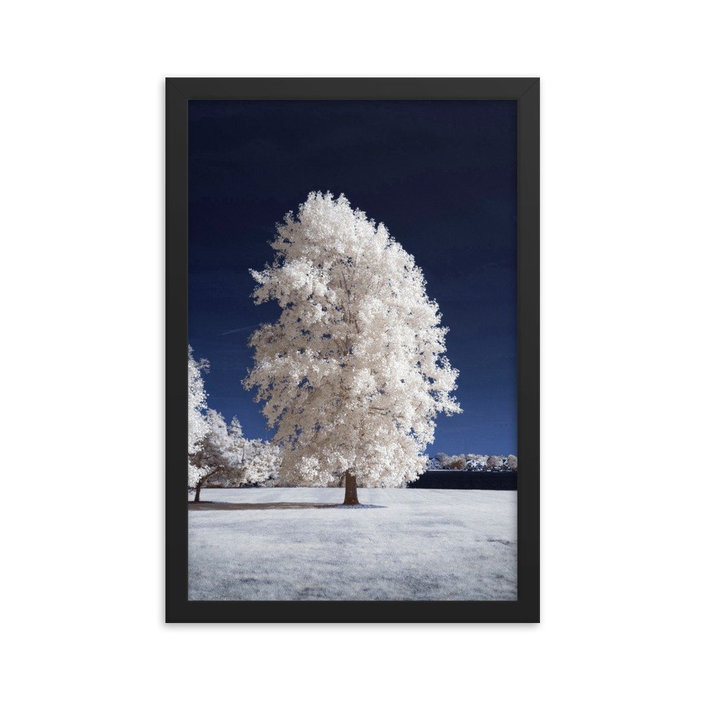 enhanced-matte-paper-framed-poster-(in)-black-12x18-transparent-643b659a568f8.jpg