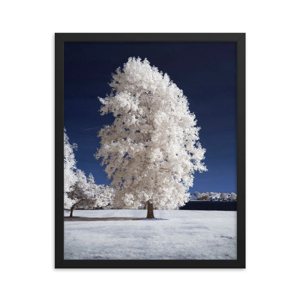 enhanced-matte-paper-framed-poster-(in)-black-16x20-transparent-643b659a569c3.jpg