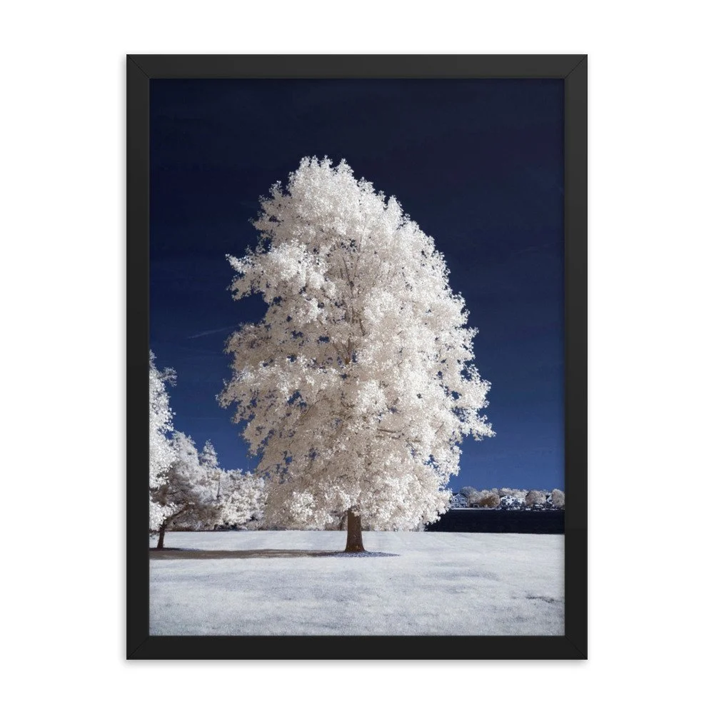 enhanced-matte-paper-framed-poster-(in)-black-18x24-transparent-643b659a56a57.jpg