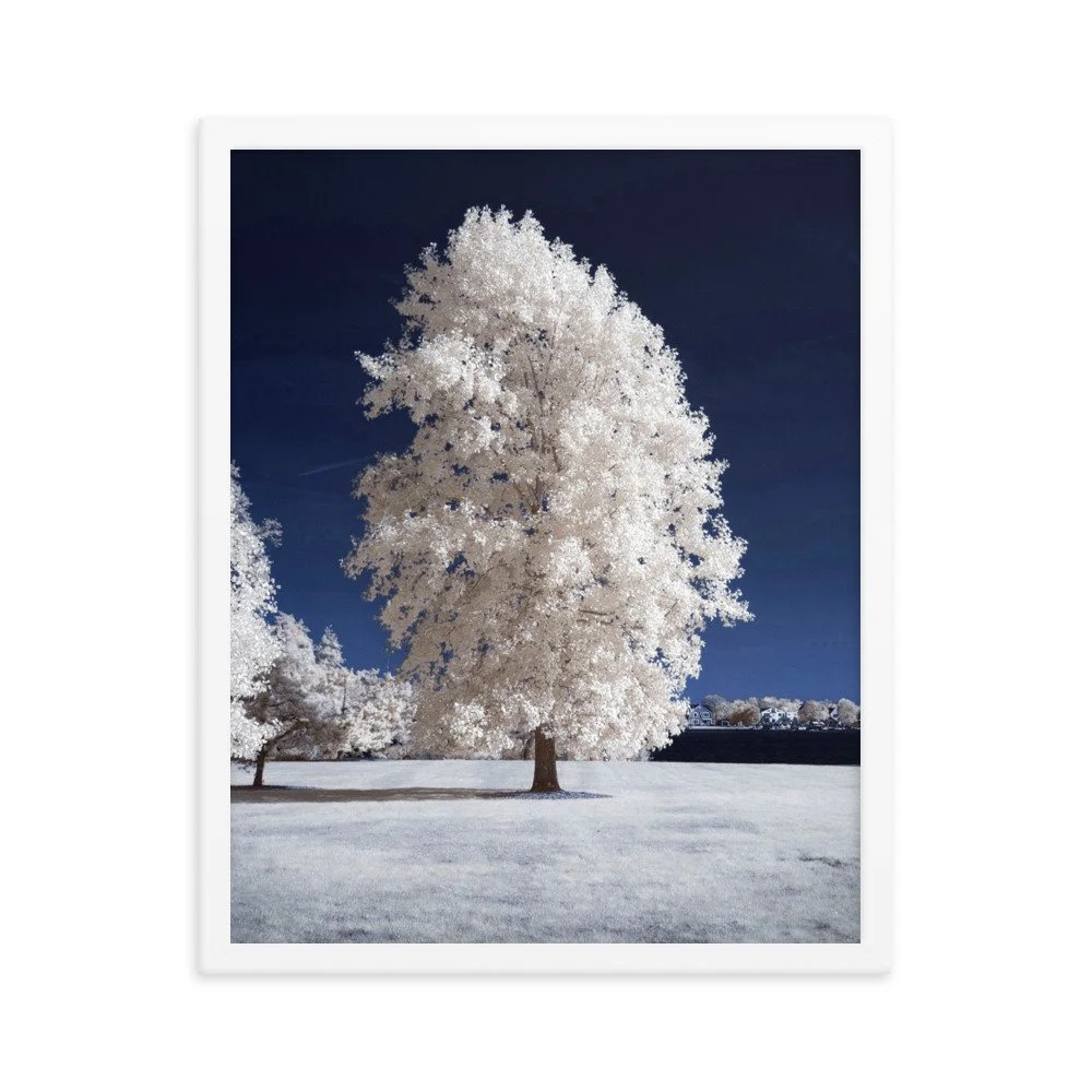 enhanced-matte-paper-framed-poster-(in)-white-16x20-transparent-643b659a56bb0.jpg