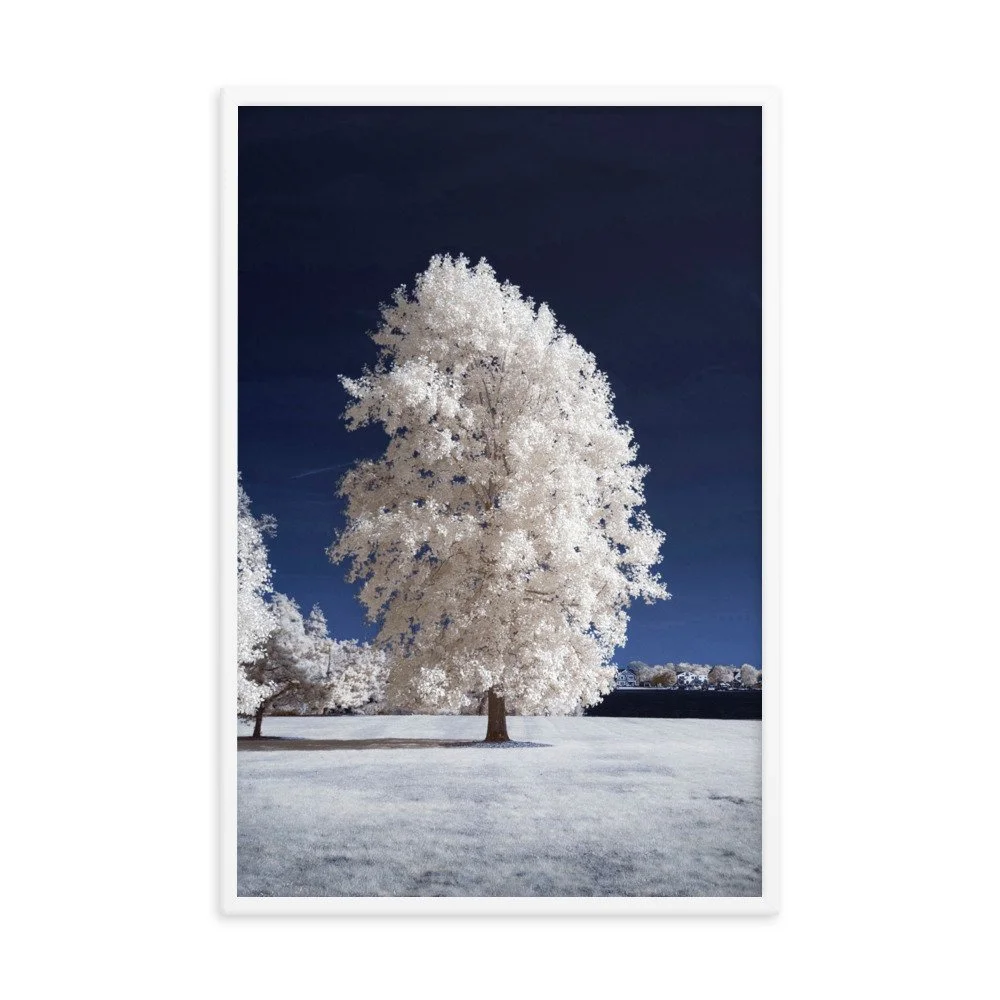 enhanced-matte-paper-framed-poster-(in)-white-24x36-transparent-643b659a56d57.jpg