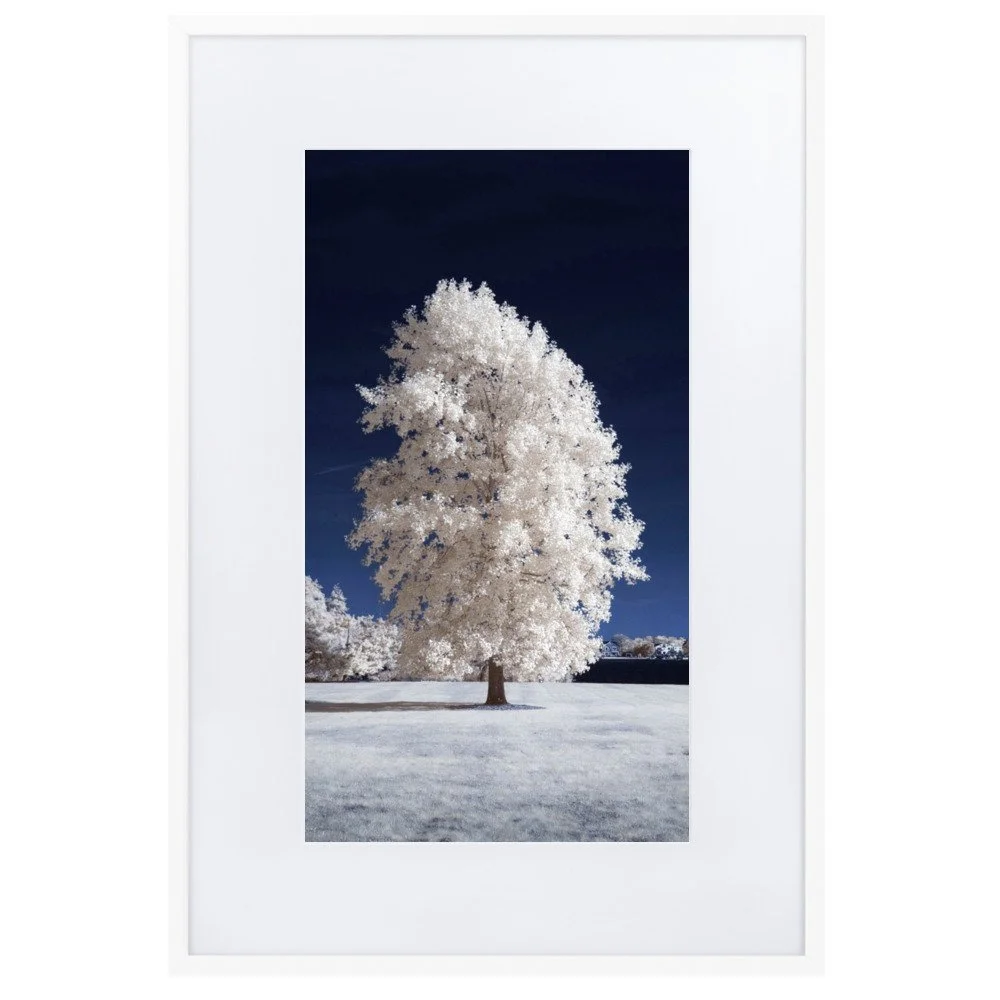 matte-paper-framed-poster-with-mat-(cm)-white-61x91-cm-transparent-643b66f53d066.jpg
