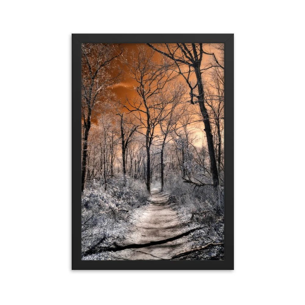 enhanced-matte-paper-framed-poster-(in)-black-12x18-transparent-643b6b4997b7b.jpg