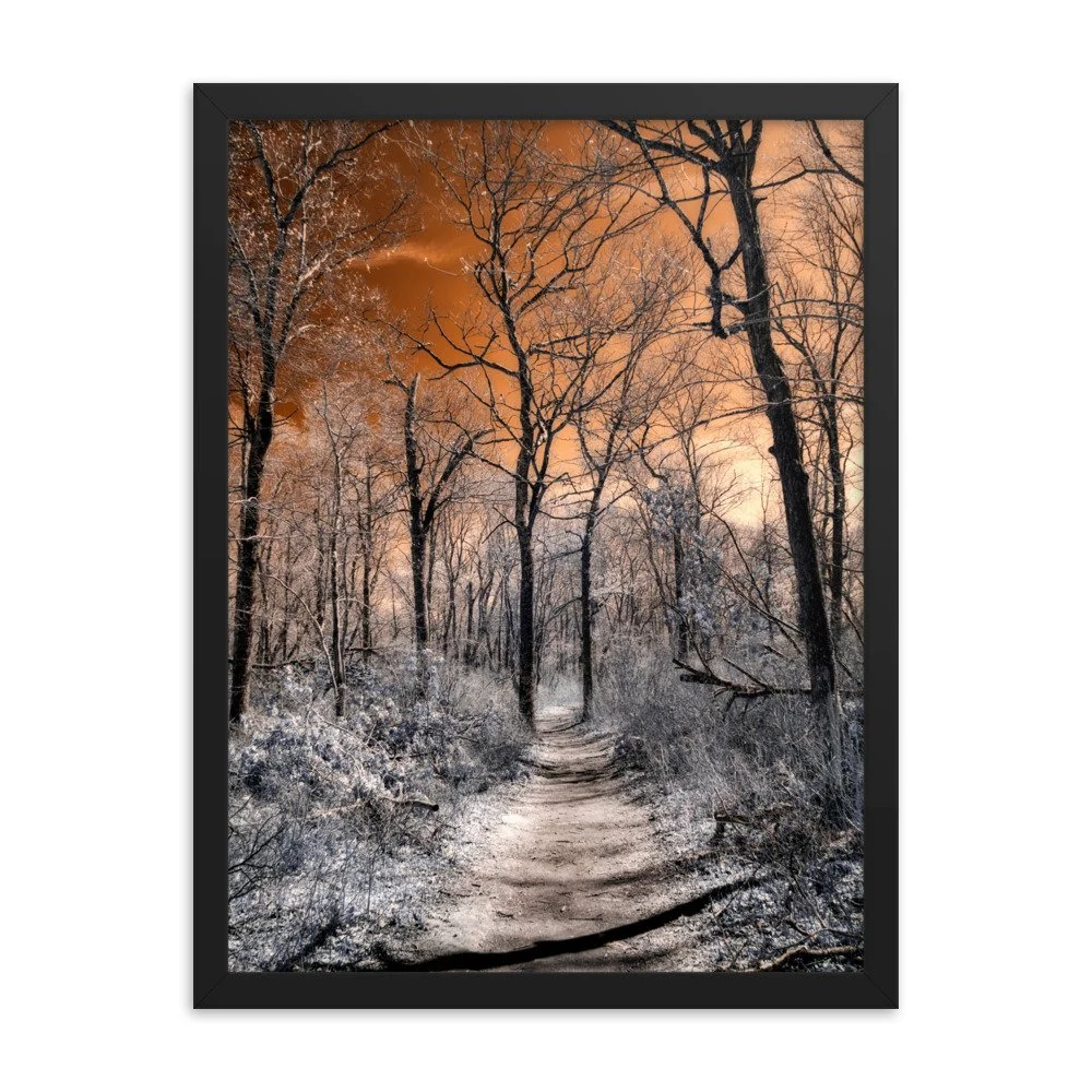 enhanced-matte-paper-framed-poster-(in)-black-18x24-transparent-643b6b4997cd1.jpg
