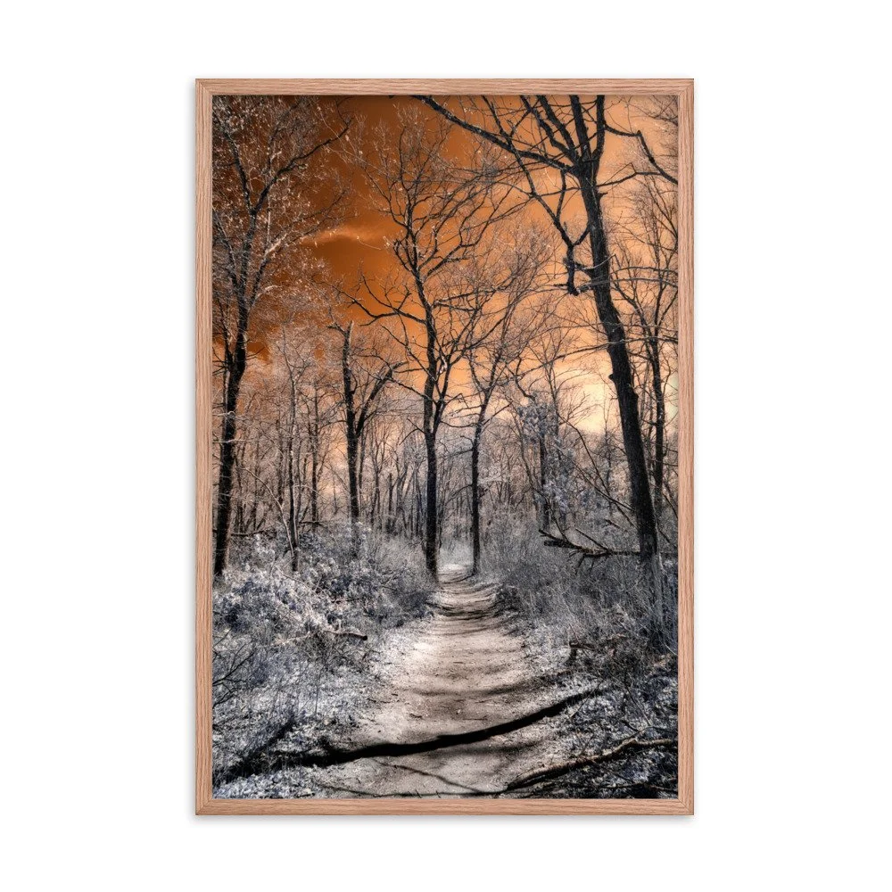 enhanced-matte-paper-framed-poster-(in)-red-oak-24x36-transparent-643b6b4997f5f.jpg