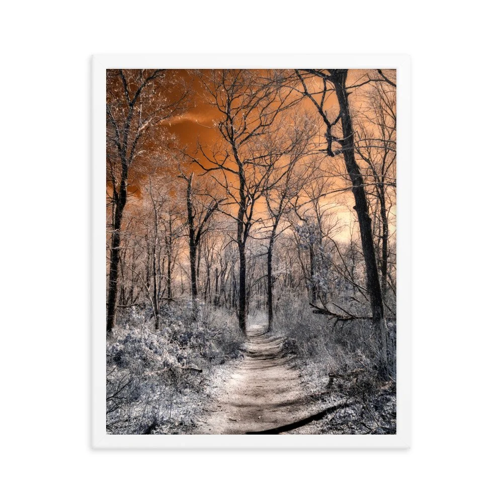enhanced-matte-paper-framed-poster-(in)-white-16x20-transparent-643b6b4998084.jpg