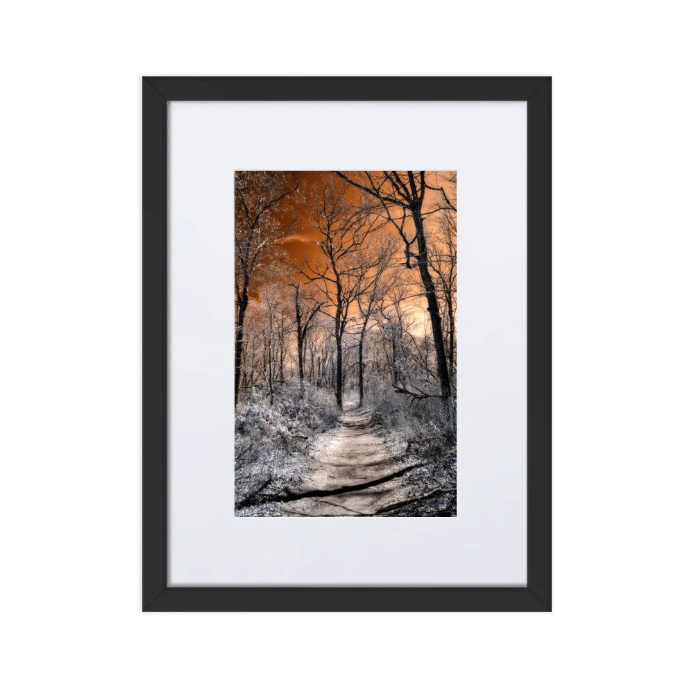 matte-paper-framed-poster-with-mat-(cm)-black-30x40-cm-transparent-643b6b8665683.jpg