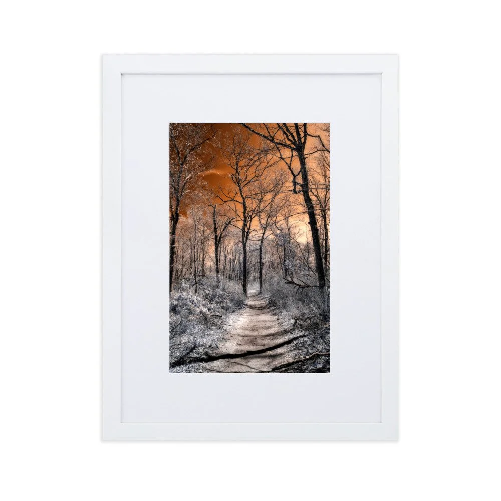 matte-paper-framed-poster-with-mat-(cm)-white-30x40-cm-transparent-643b6b8665768.jpg
