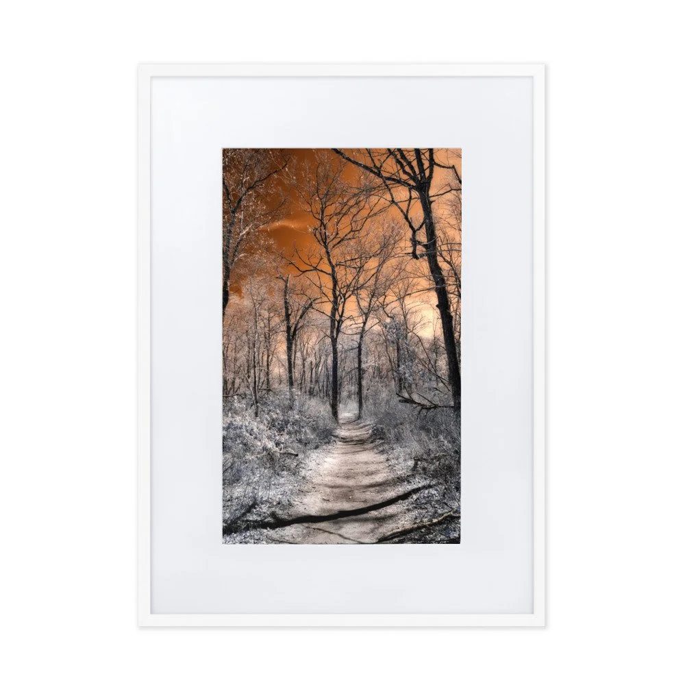 matte-paper-framed-poster-with-mat-(cm)-white-50x70-cm-transparent-643b6b86657b6.jpg
