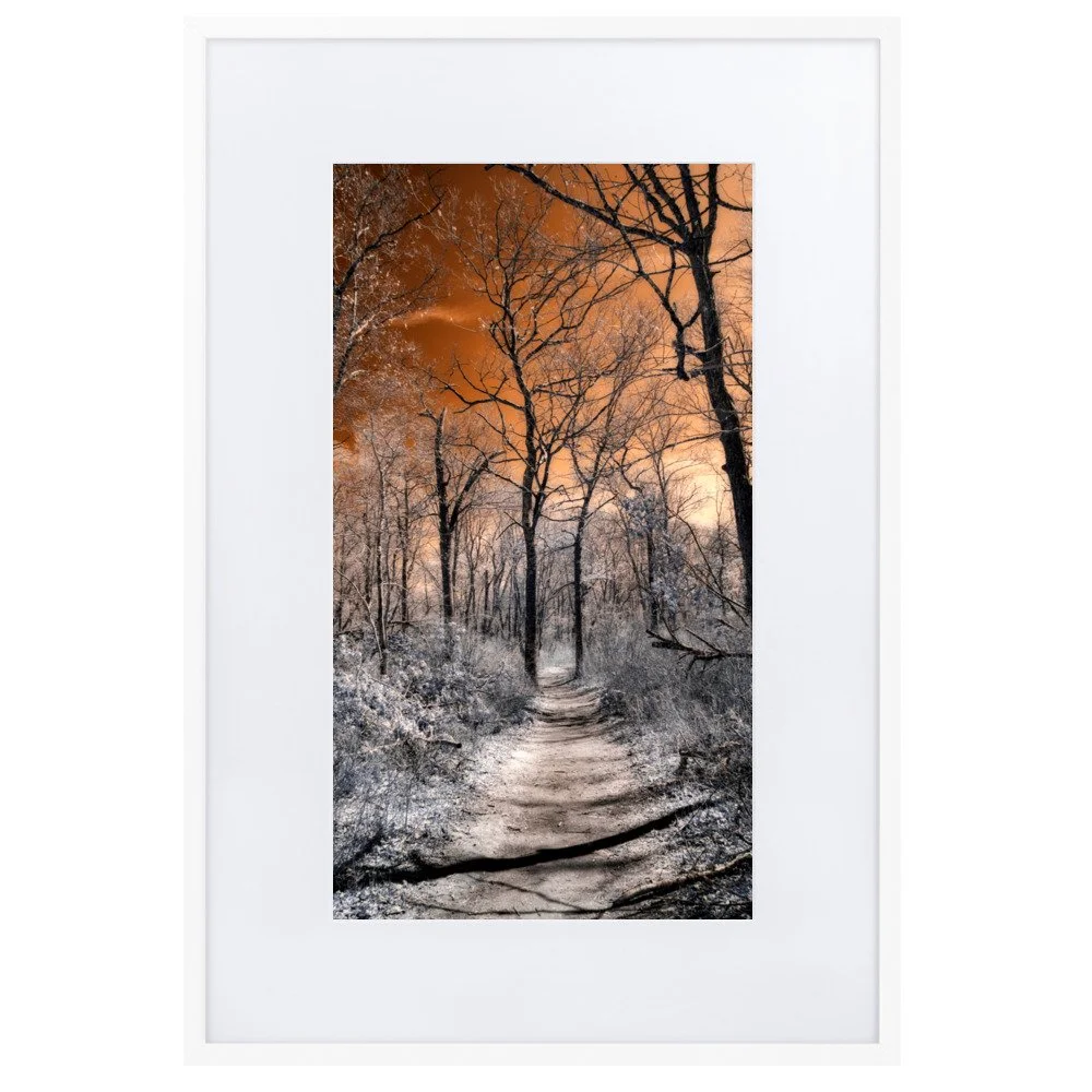 matte-paper-framed-poster-with-mat-(cm)-white-61x91-cm-transparent-643b6b8665825.jpg