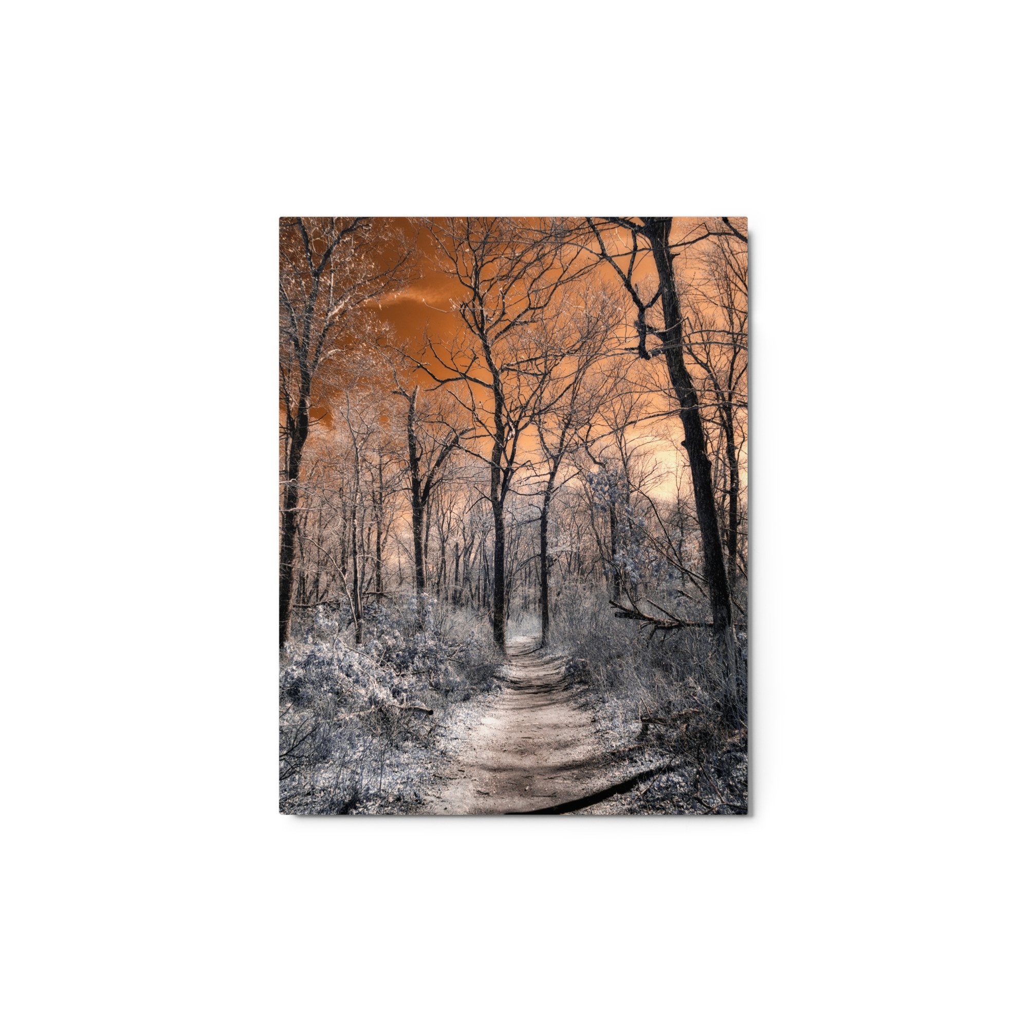 glossy-metal-print-(in)-white-11x14-front-643b6bf04f232.jpg