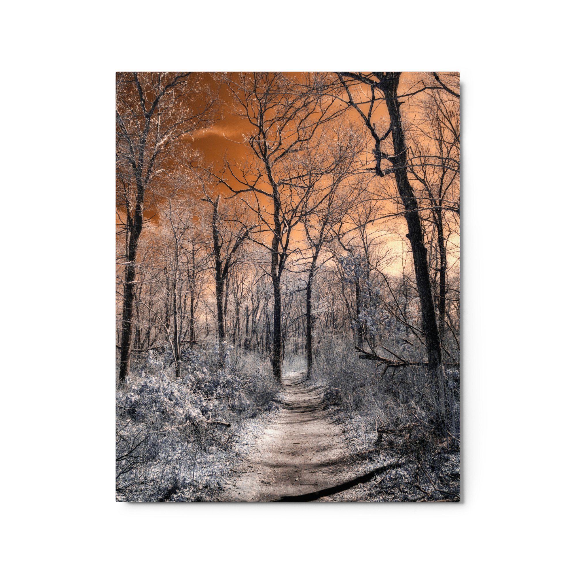 glossy-metal-print-(in)-white-16x20-front-643b6bf04f2a5.jpg