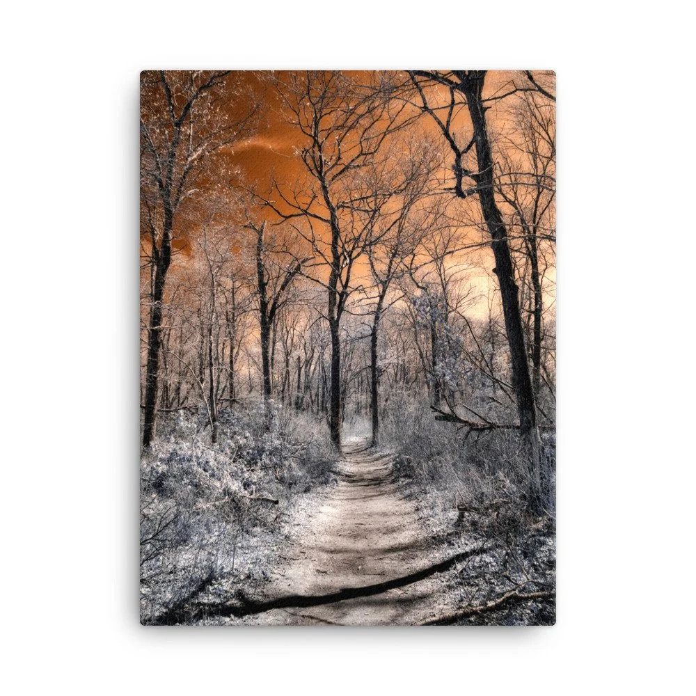 canvas-(in)-18x24-wall-643b6cc512b83.jpg
