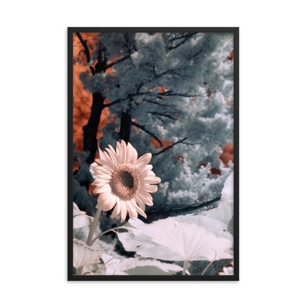 enhanced-matte-paper-framed-poster-(in)-black-24x36-transparent-643c48b40bf47.jpg