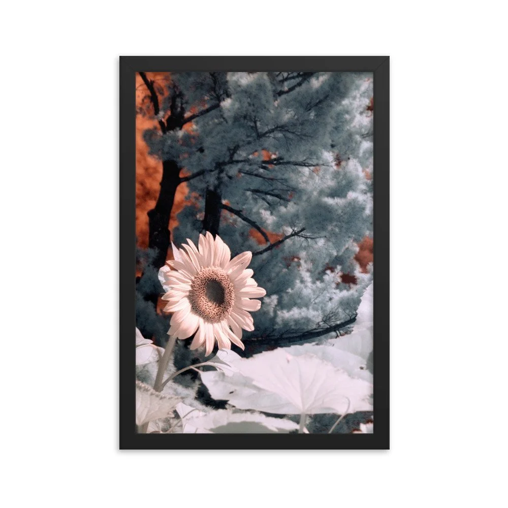 enhanced-matte-paper-framed-poster-(in)-black-12x18-transparent-643c48b40cc1a.jpg