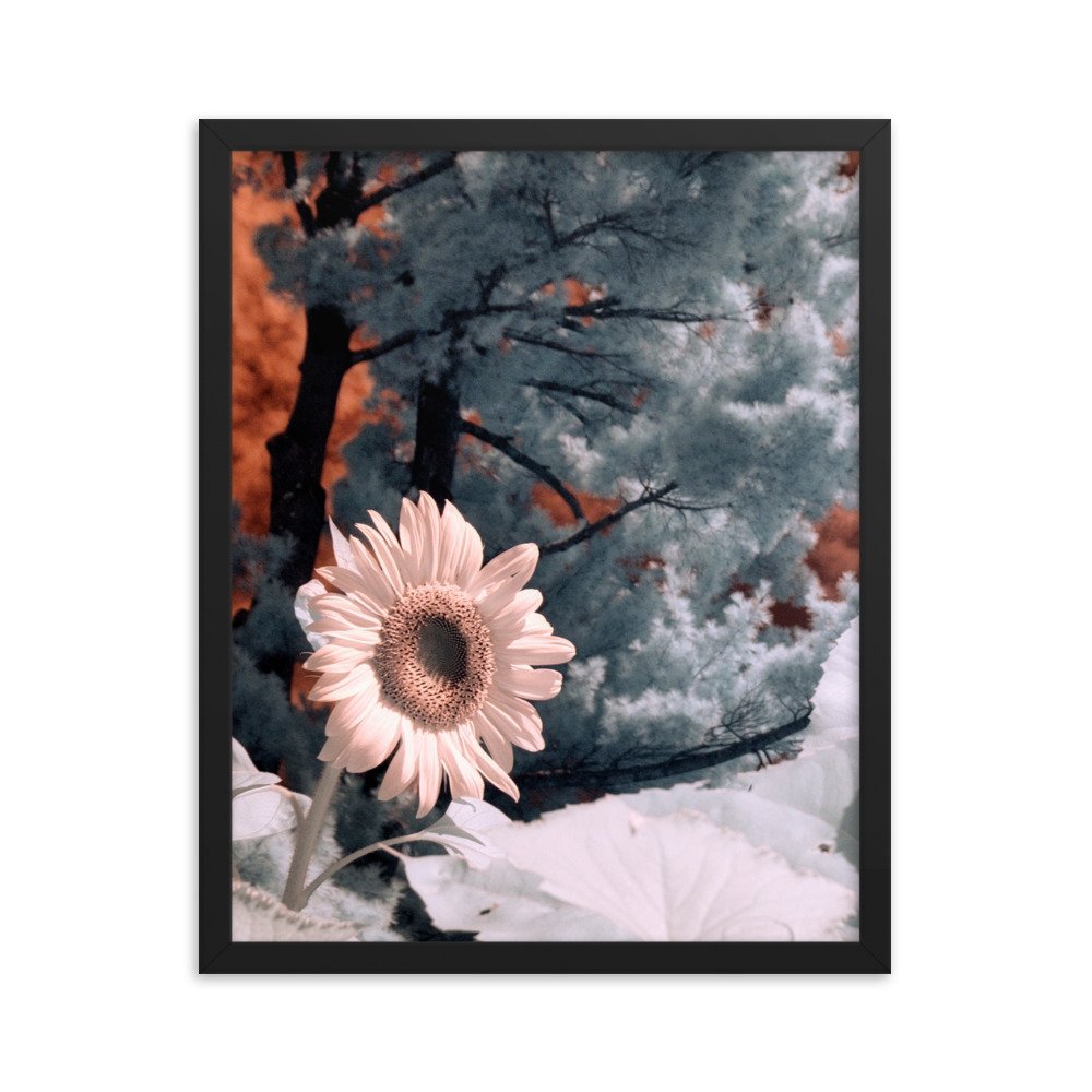 enhanced-matte-paper-framed-poster-(in)-black-16x20-transparent-643c48b40cc94.jpg