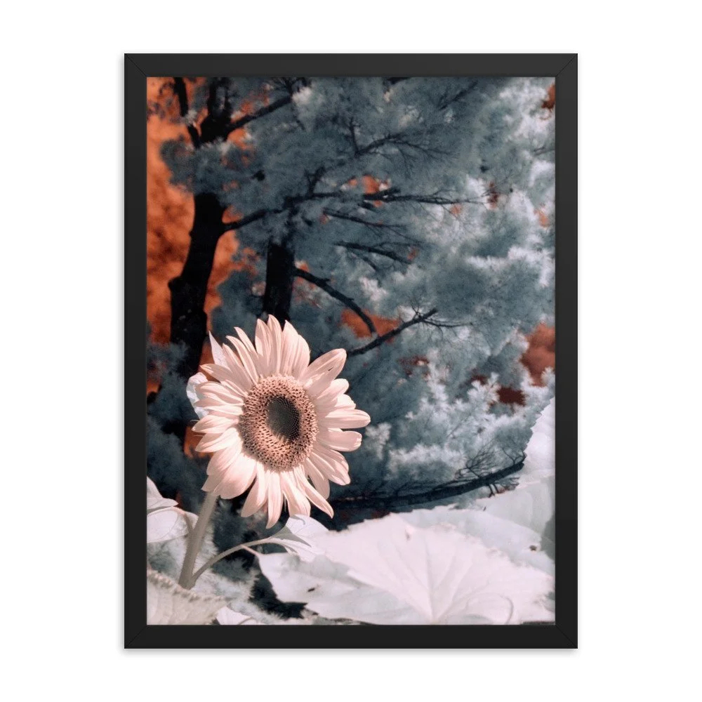 enhanced-matte-paper-framed-poster-(in)-black-18x24-transparent-643c48b40ccf1.jpg