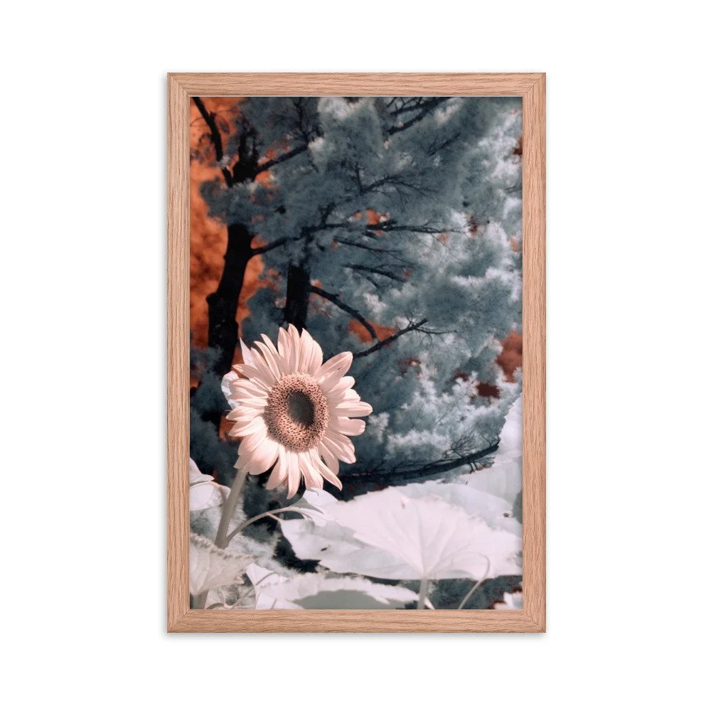 enhanced-matte-paper-framed-poster-(in)-red-oak-12x18-transparent-643c48b40cd74.jpg