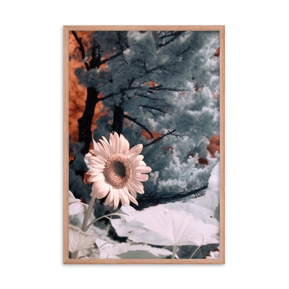 enhanced-matte-paper-framed-poster-(in)-red-oak-24x36-transparent-643c48b40ce93.jpg