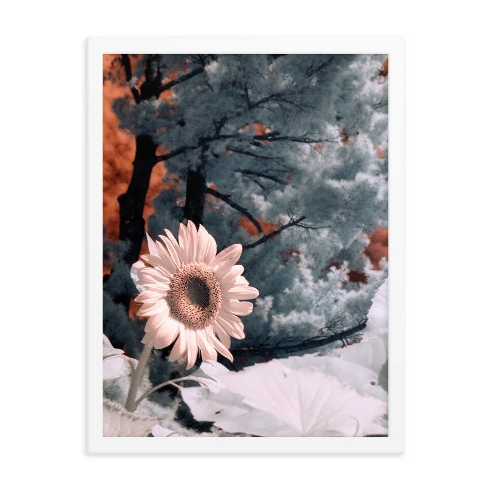enhanced-matte-paper-framed-poster-(in)-white-18x24-transparent-643c48b40d05f.jpg