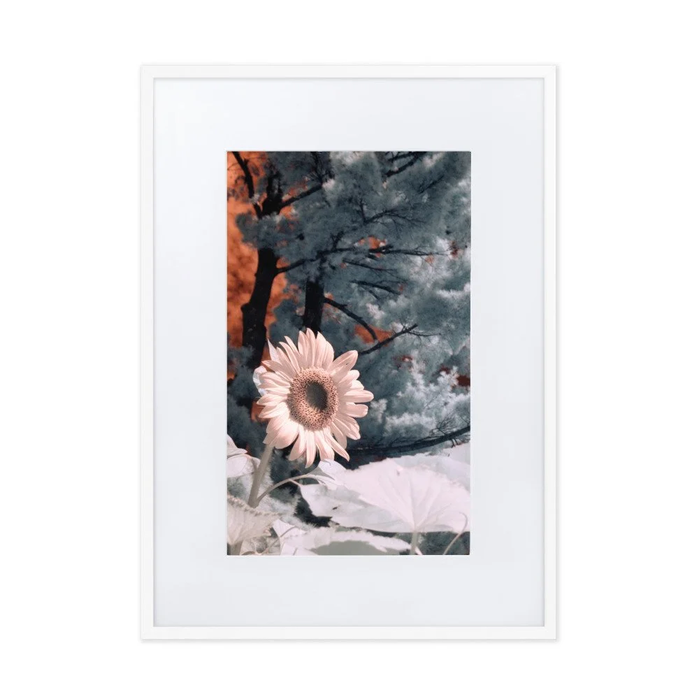 matte-paper-framed-poster-with-mat-(cm)-white-50x70-cm-transparent-643c48e5bb161.jpg