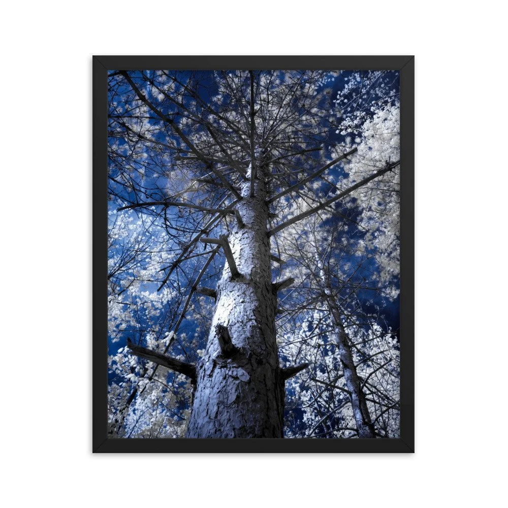 enhanced-matte-paper-framed-poster-(in)-black-16x20-transparent-643c4b1bb91fc.jpg