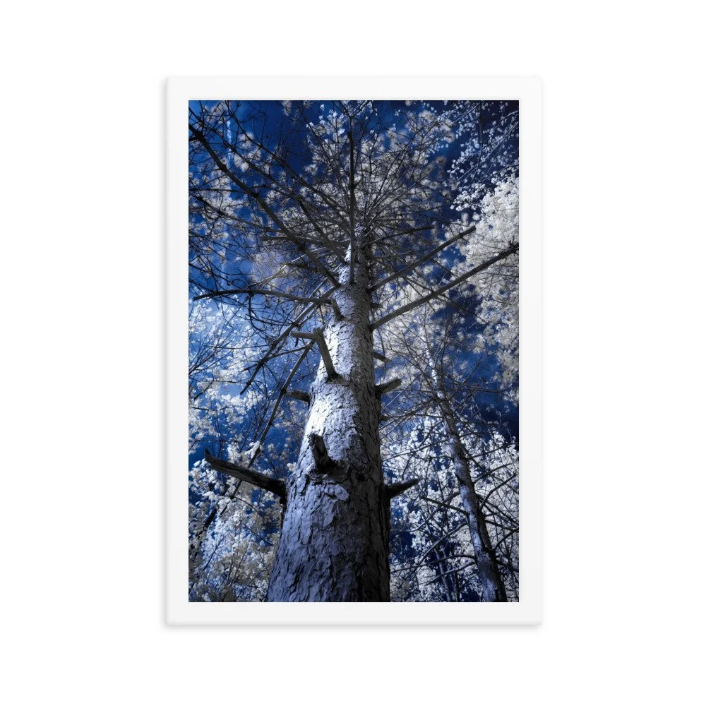 enhanced-matte-paper-framed-poster-(in)-white-12x18-transparent-643c4b1bb933c.jpg