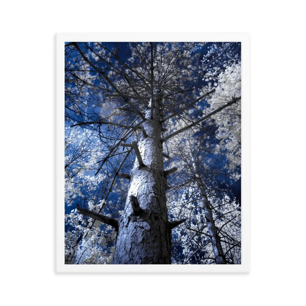 enhanced-matte-paper-framed-poster-(in)-white-16x20-transparent-643c4b1bb93a3.jpg