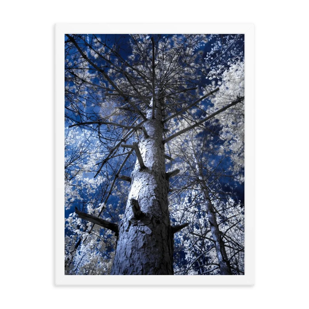 enhanced-matte-paper-framed-poster-(in)-white-18x24-transparent-643c4b1bb93fb.jpg