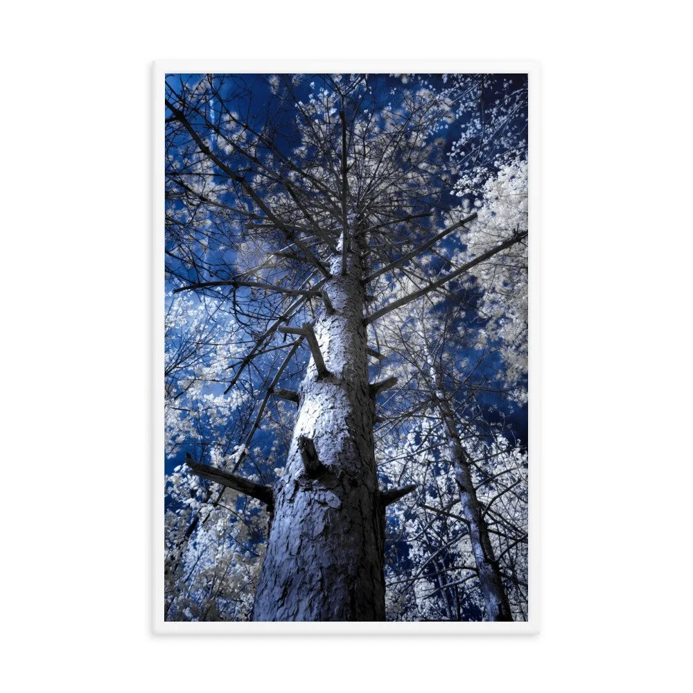 enhanced-matte-paper-framed-poster-(in)-white-24x36-transparent-643c4b1bb9451.jpg