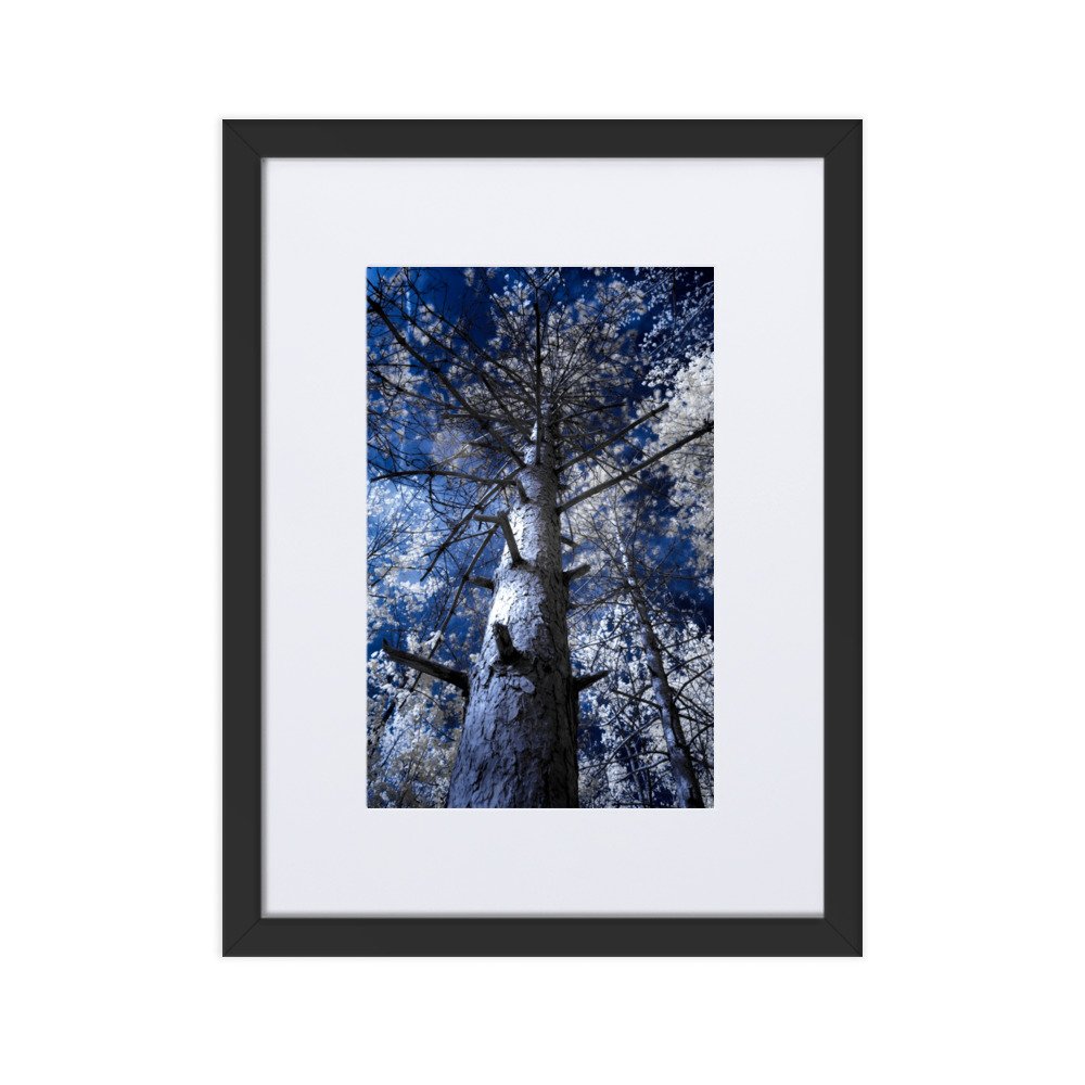 matte-paper-framed-poster-with-mat-(cm)-black-30x40-cm-transparent-643c4b5a75e80.jpg