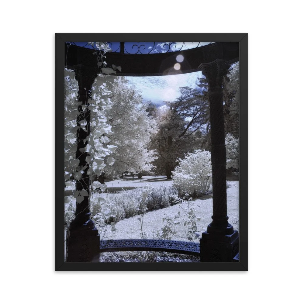 enhanced-matte-paper-framed-poster-(in)-black-16x20-transparent-643c4f108ac26.jpg