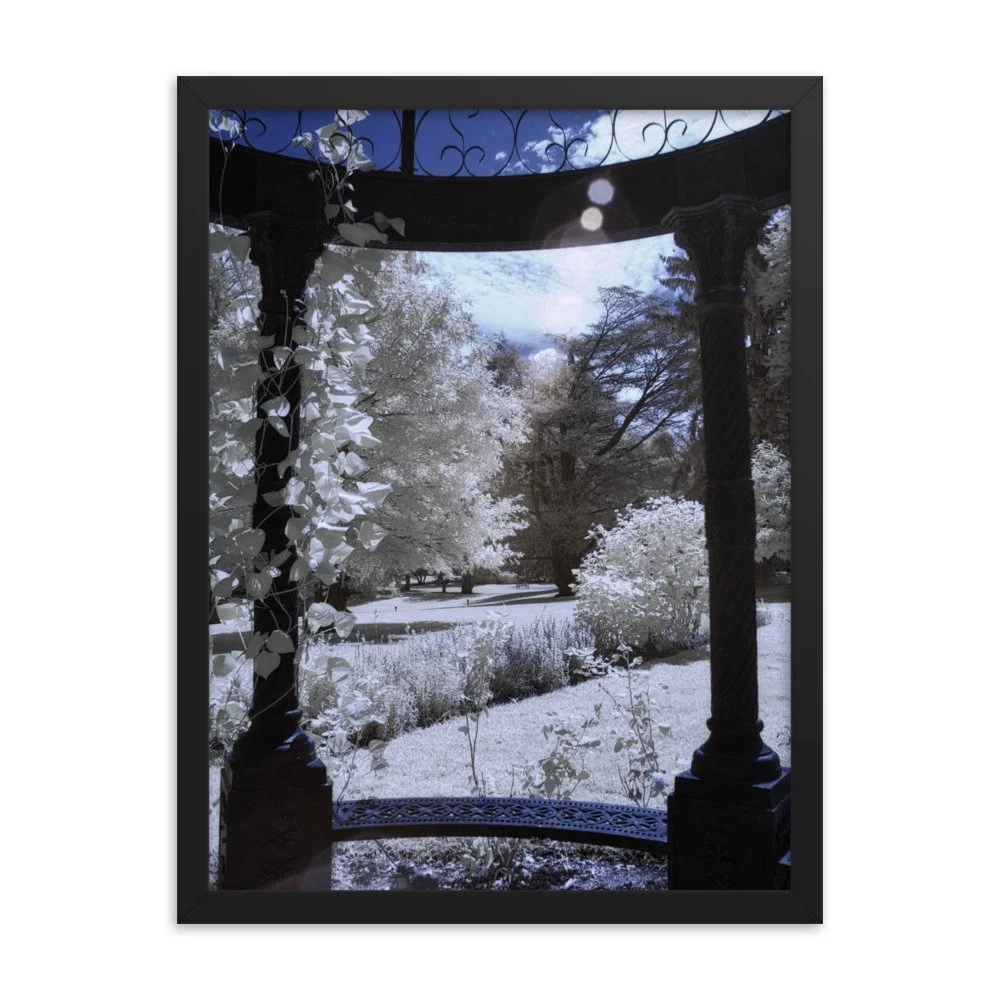 enhanced-matte-paper-framed-poster-(in)-black-18x24-transparent-643c4f108ac82.jpg