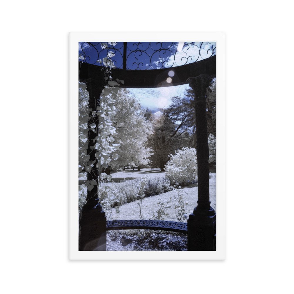 enhanced-matte-paper-framed-poster-(in)-white-12x18-transparent-643c4f108ad02.jpg