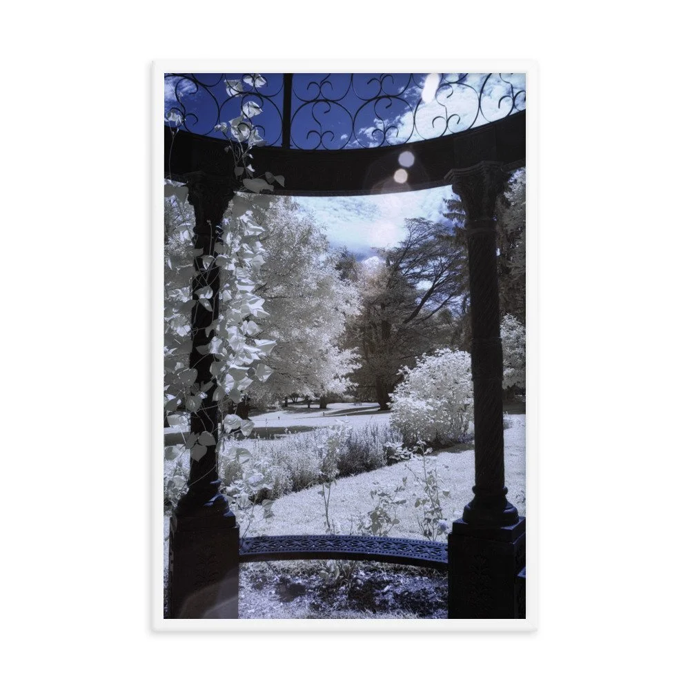 enhanced-matte-paper-framed-poster-(in)-white-24x36-transparent-643c4f108adff.jpg