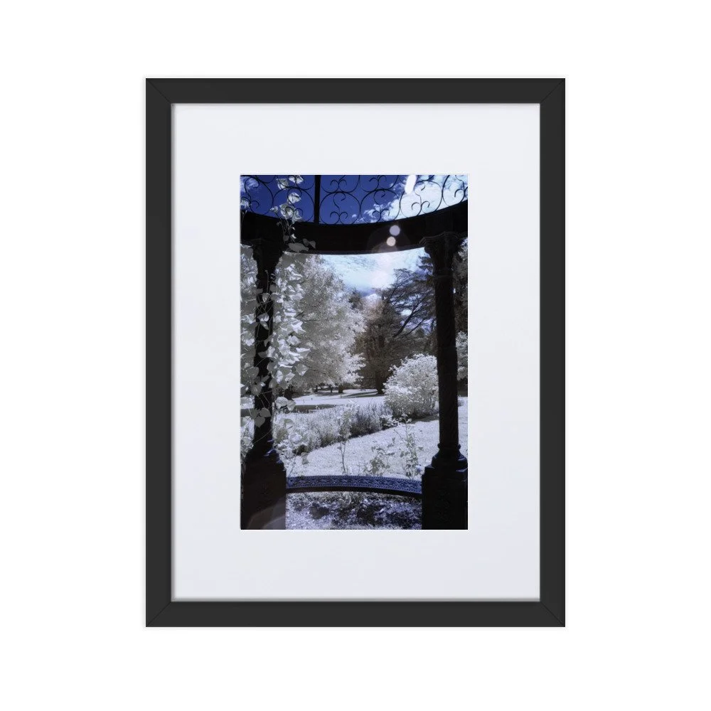 matte-paper-framed-poster-with-mat-(cm)-black-30x40-cm-transparent-643c4f487727f.jpg