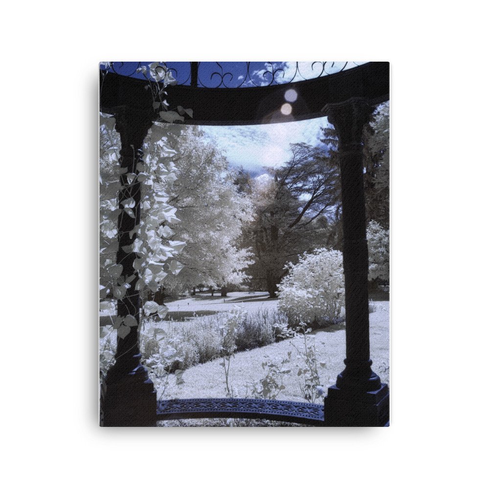 canvas-(in)-16x20-wall-643c65439460a.jpg